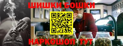 индика Гусев