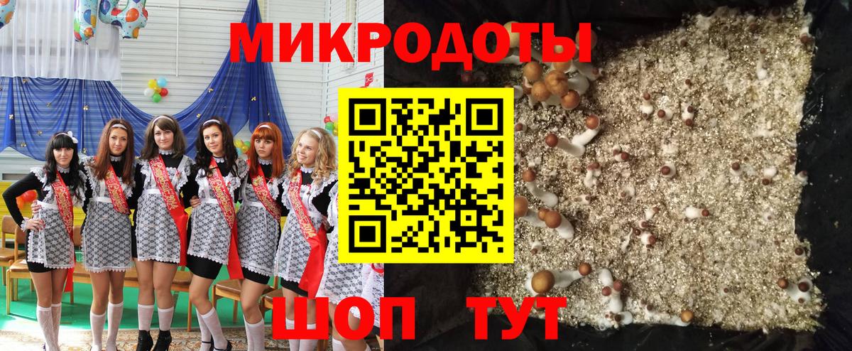 Боровичи  Псилоцибиновые грибы Psilocybine cubensis  Вход с VPN 